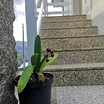 Casa De Boucas *