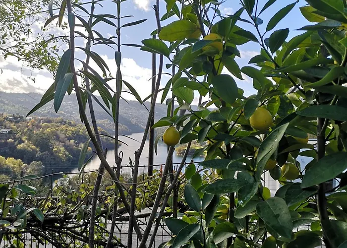 펜션 Casa De Boucas 상 페드로