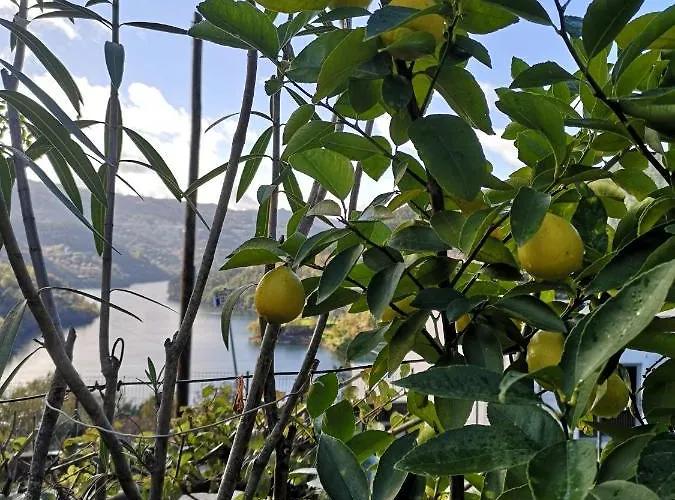 Casa De Boucas 상 페드로